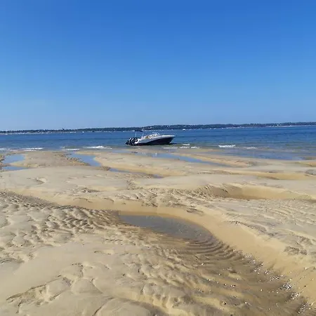 T2 Vue Au Port D'arcachon Arcachon